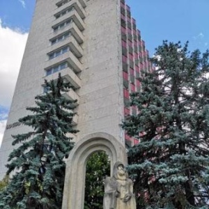 Statue à Petru Movila